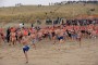 Thumbs/tn_Nieuwjaarsduik Nederzandt 2017 026.jpg